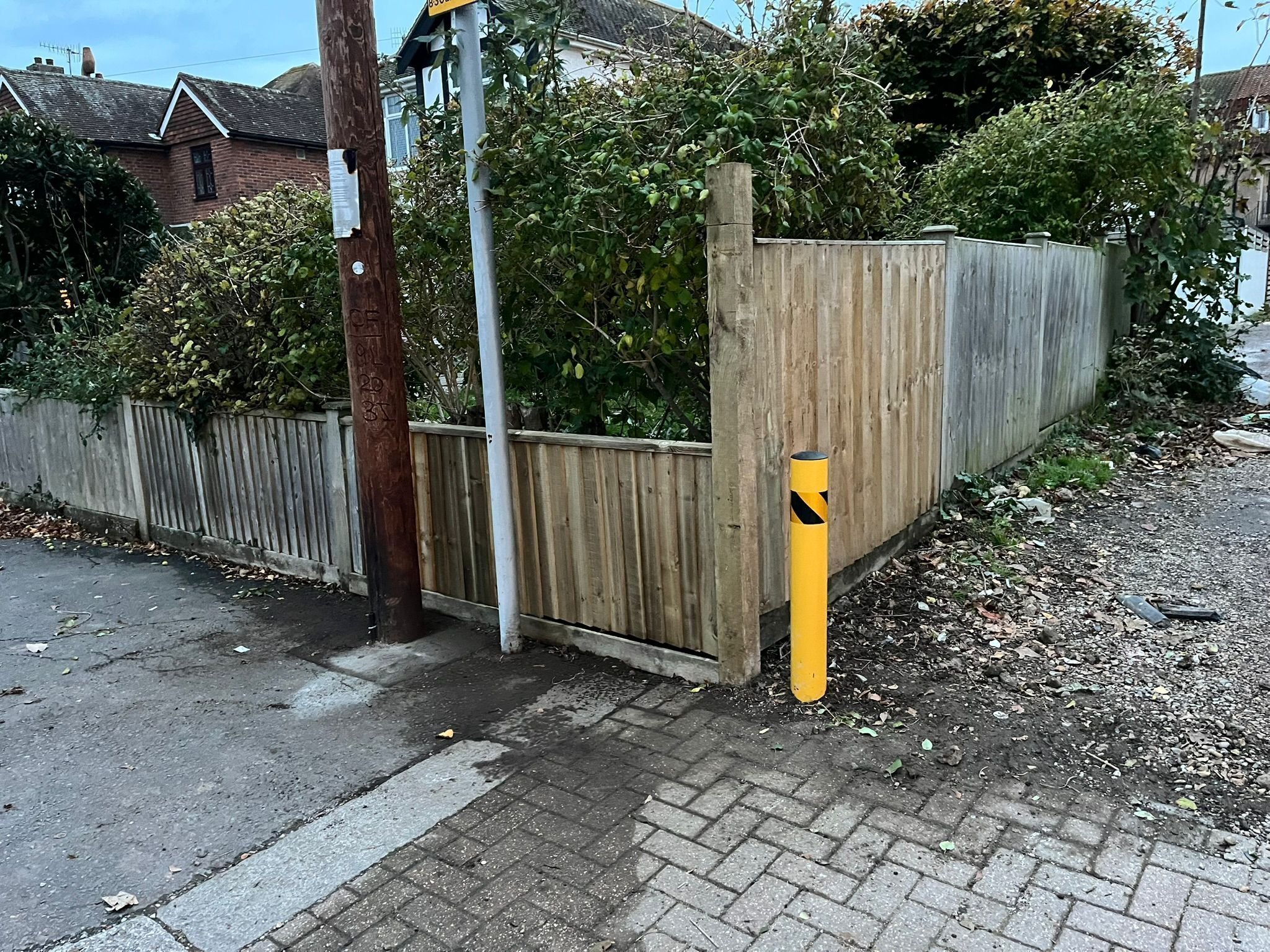 Portfolio project 11