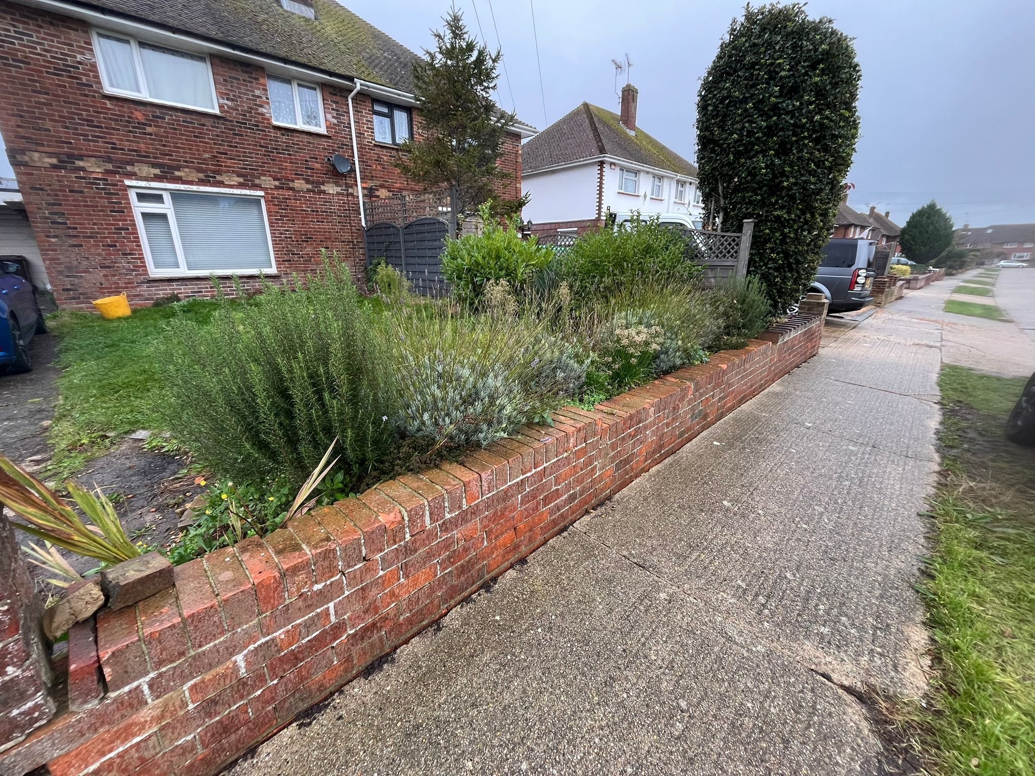 Portfolio project 12