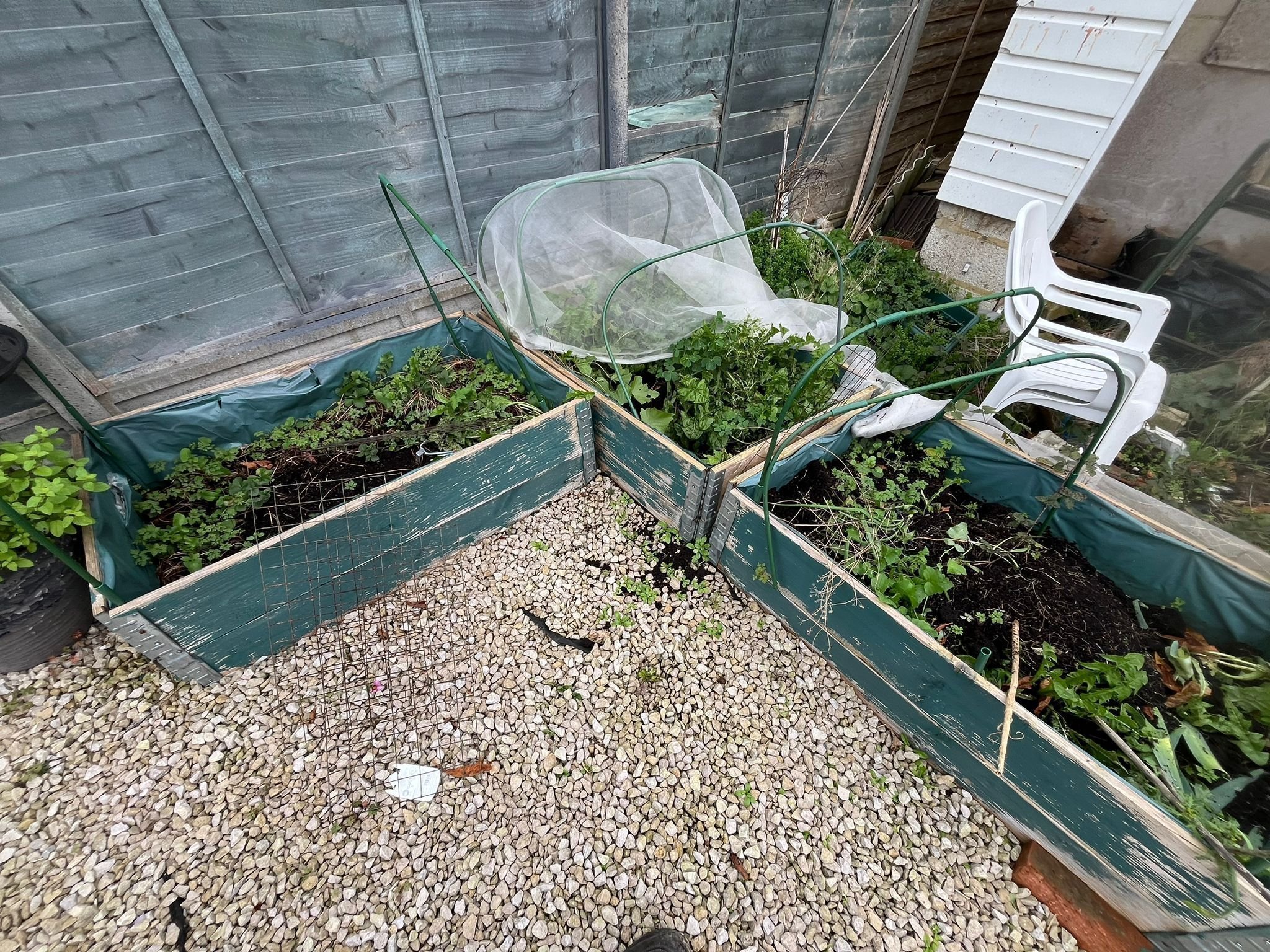 Portfolio project 14