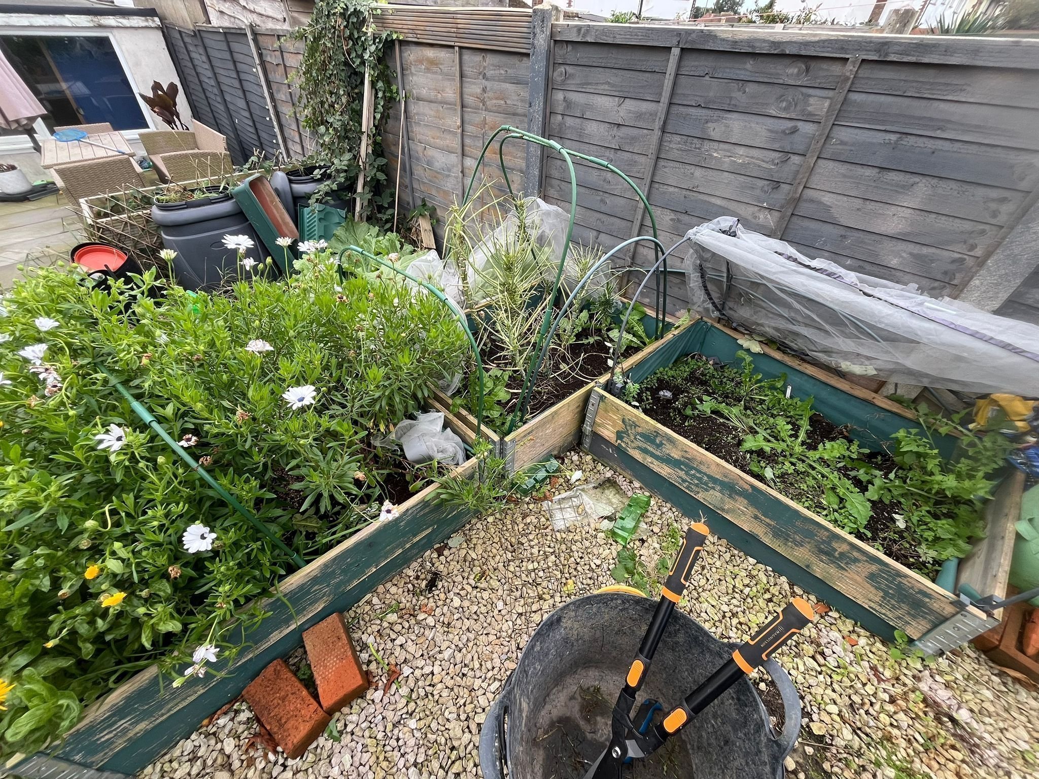 Portfolio project 16