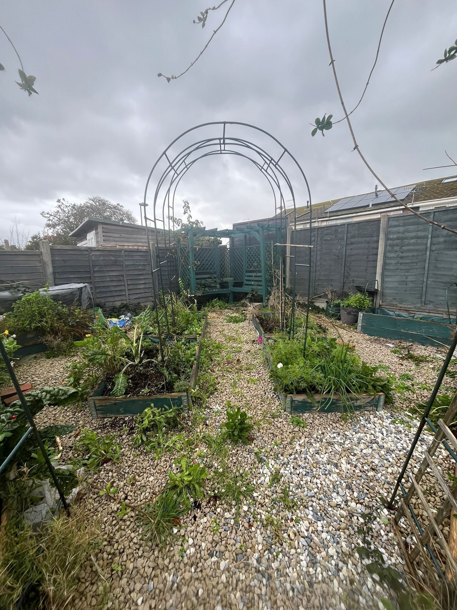 Portfolio project 19