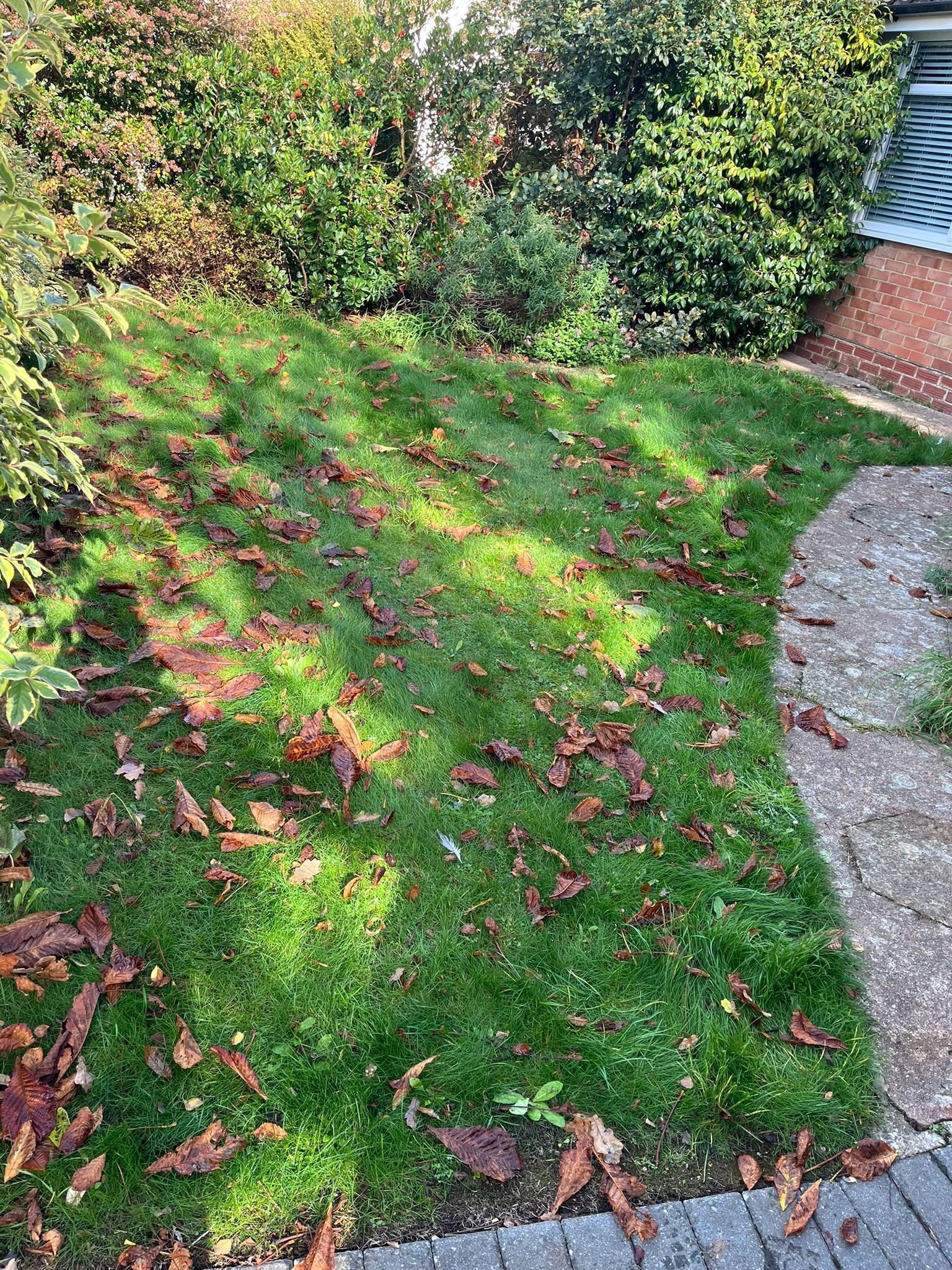 Portfolio project 22