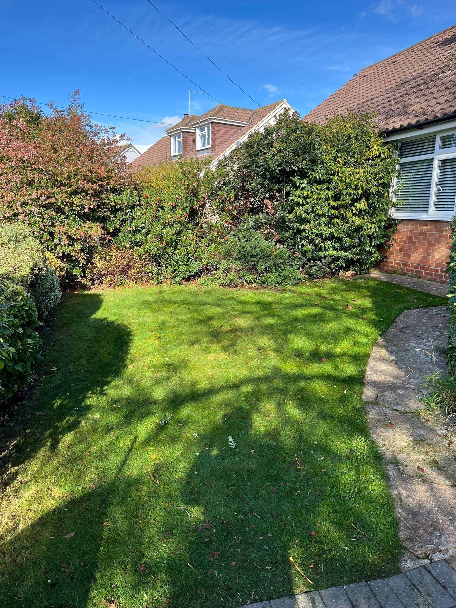 Portfolio project 23