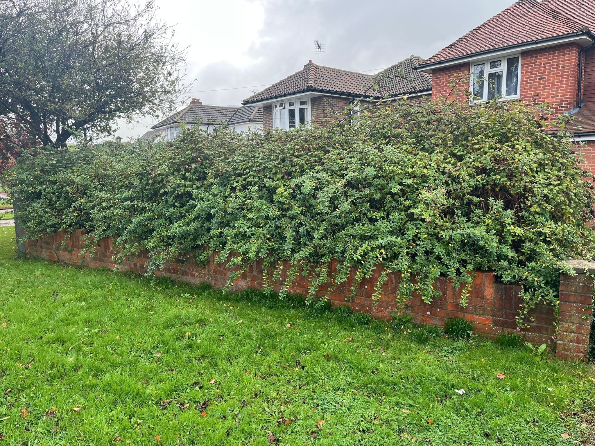 Portfolio project 26