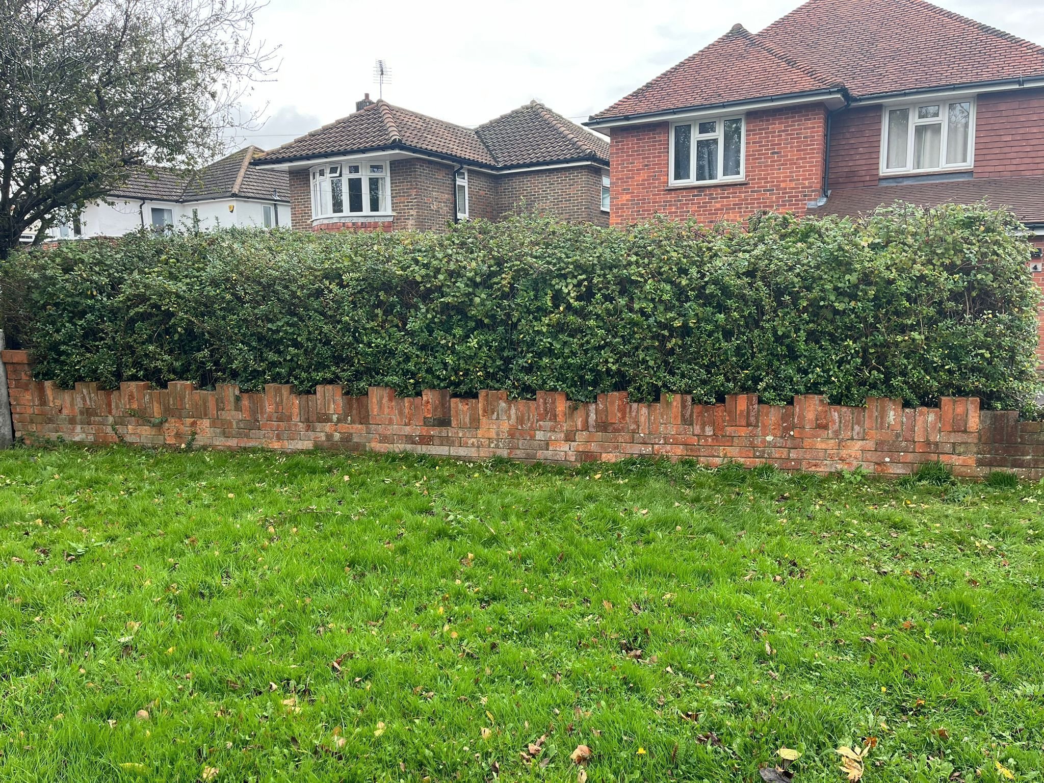 Portfolio project 27