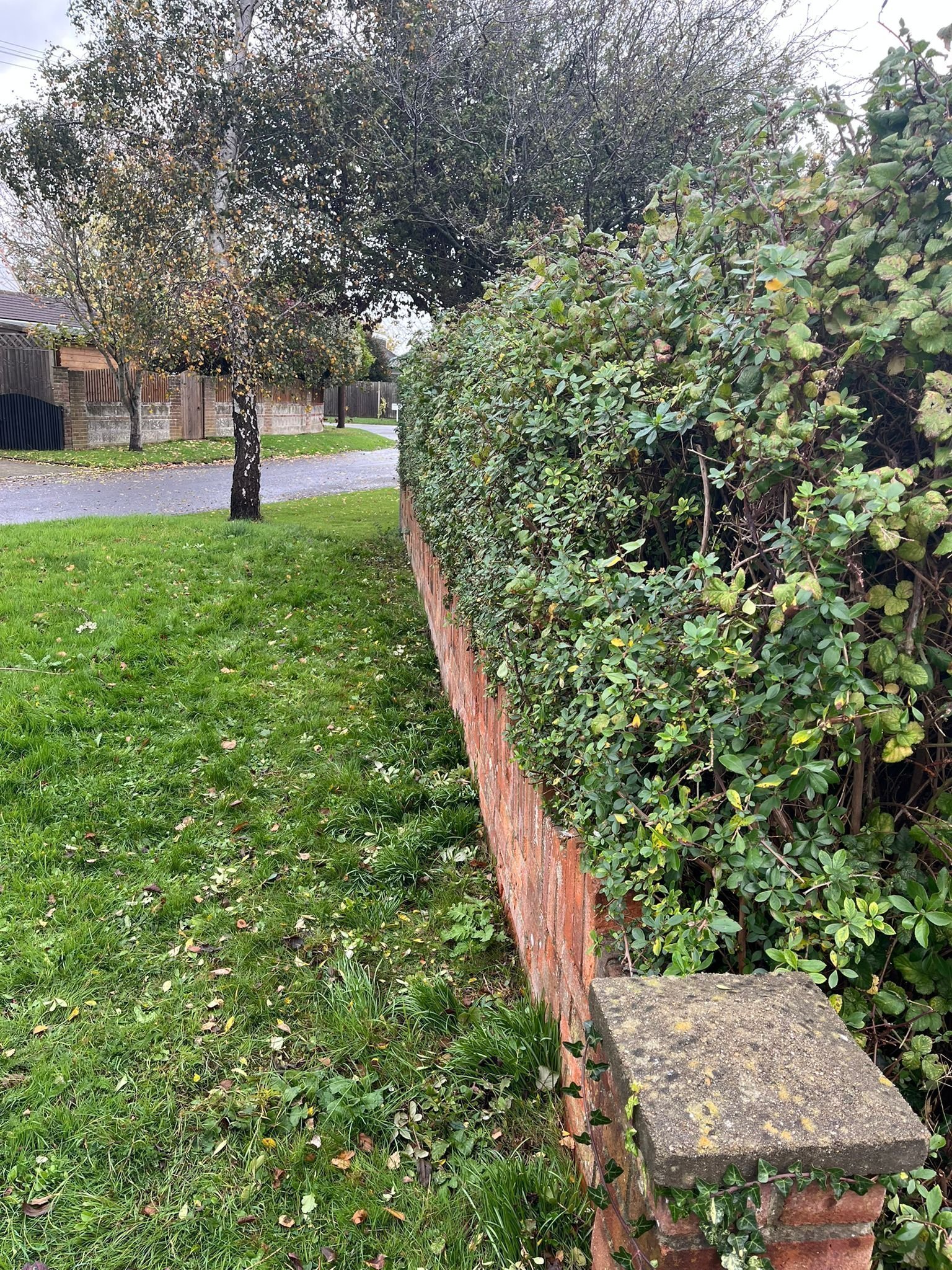 Portfolio project 28