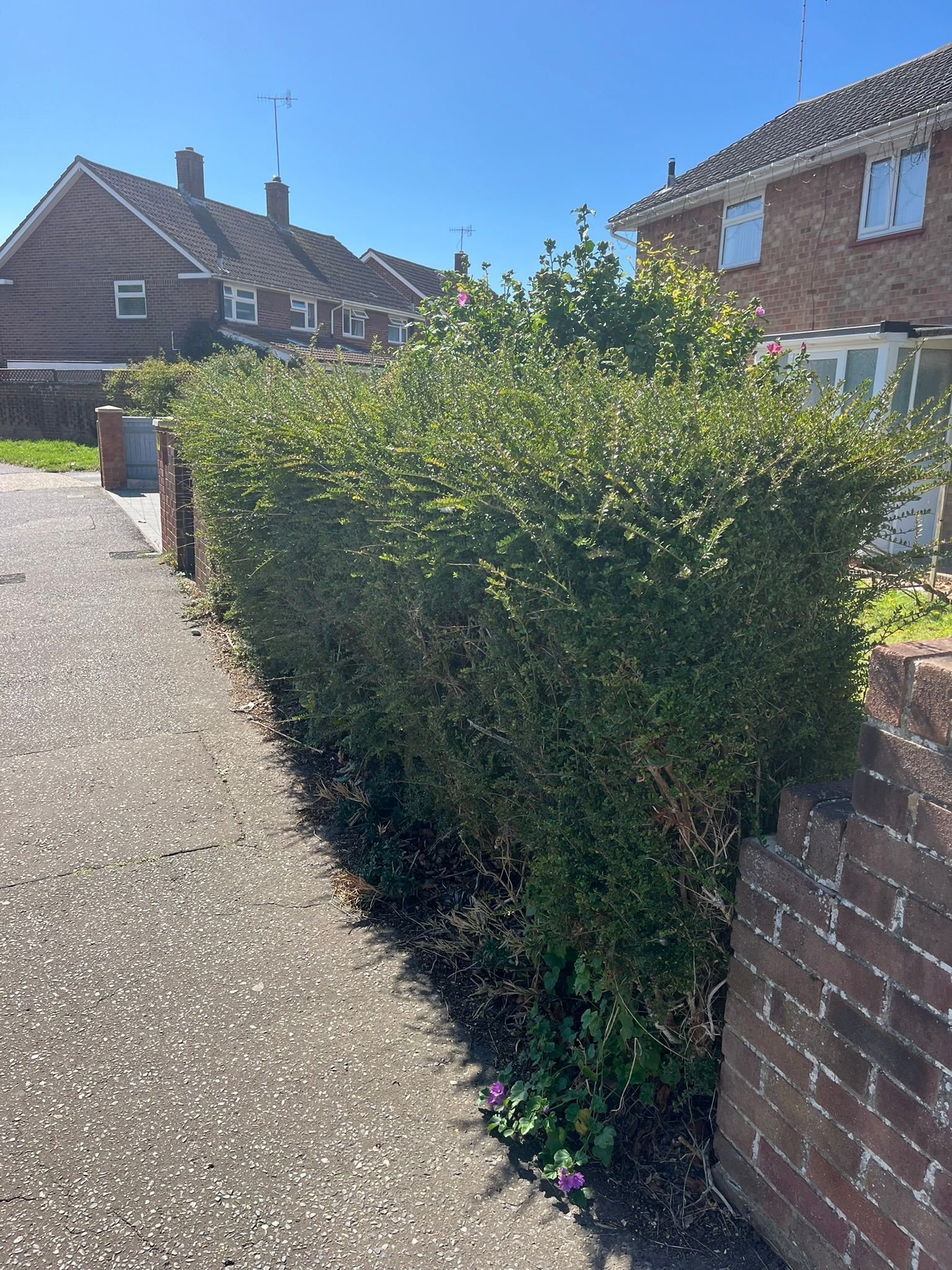 Portfolio project 29