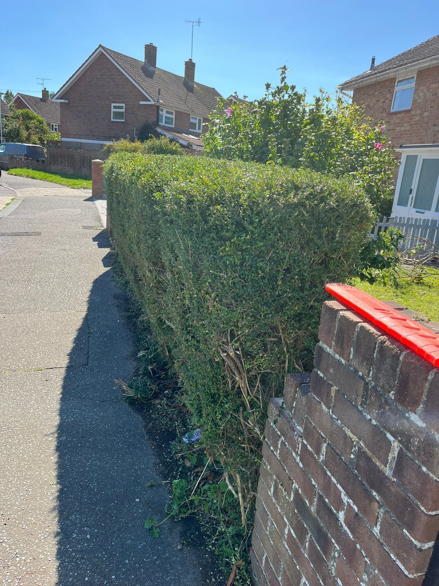 Portfolio project 30