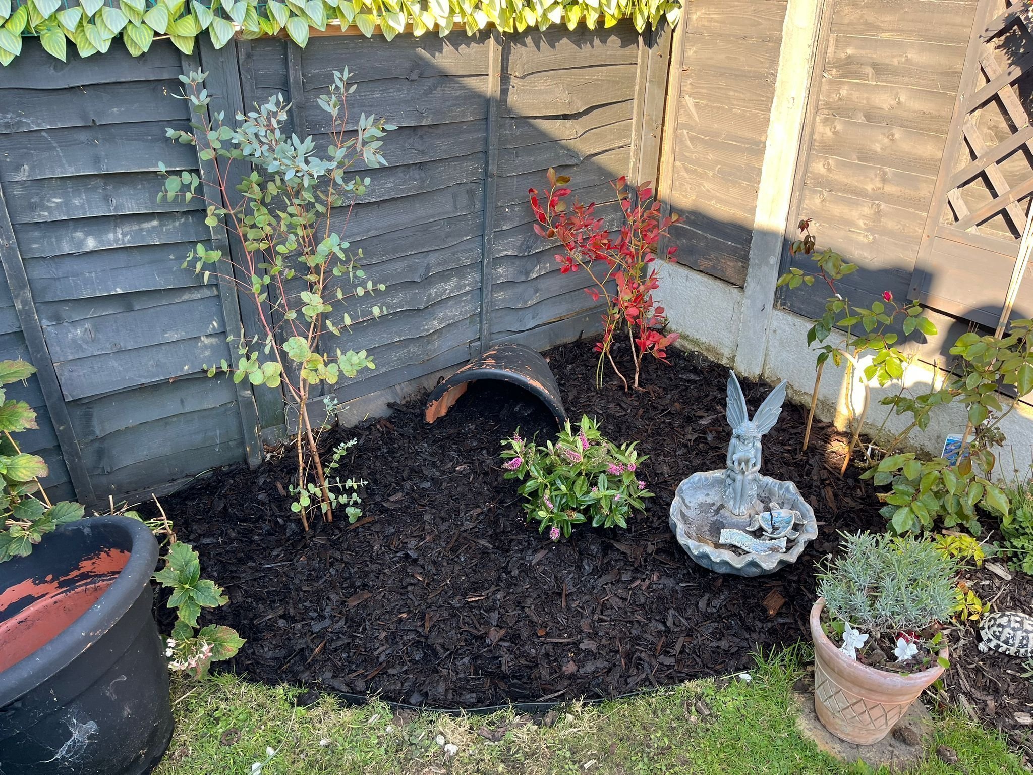 Portfolio project 32