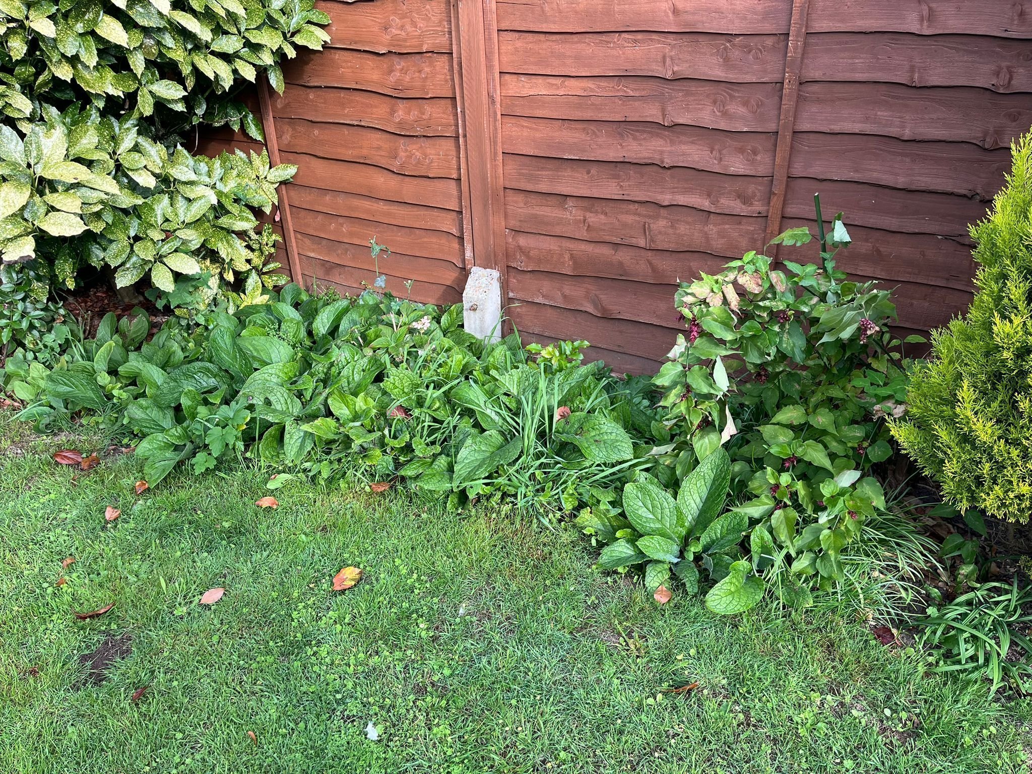 Portfolio project 33