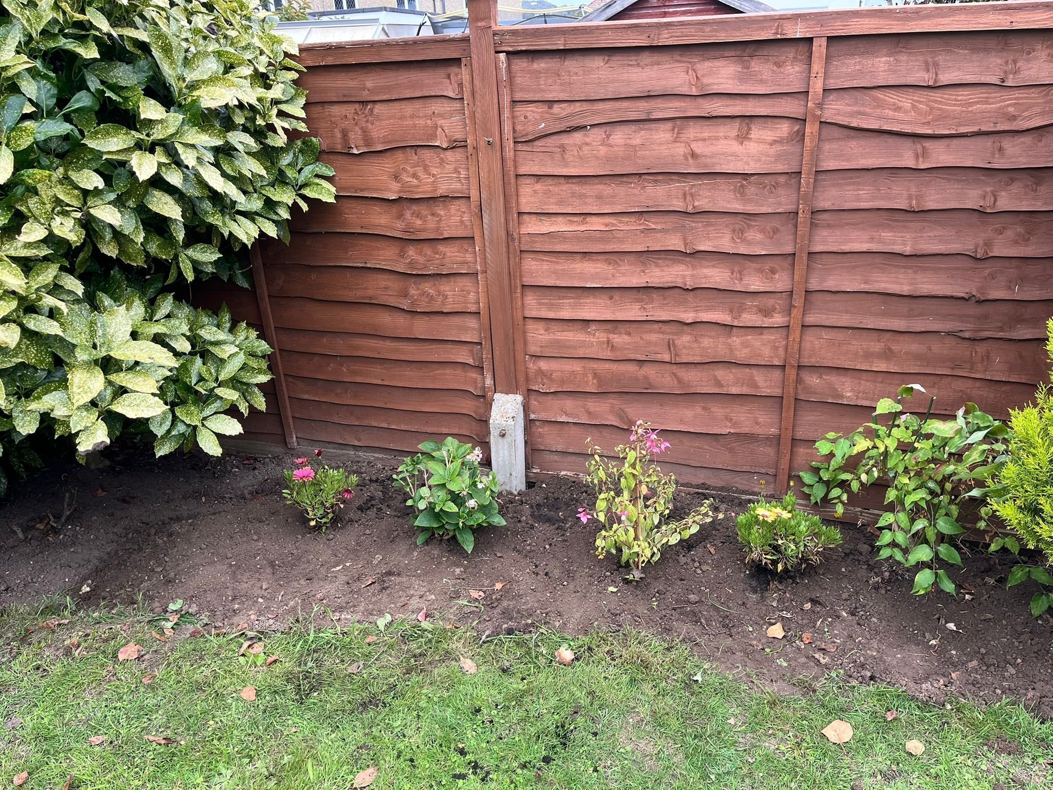 Portfolio project 34